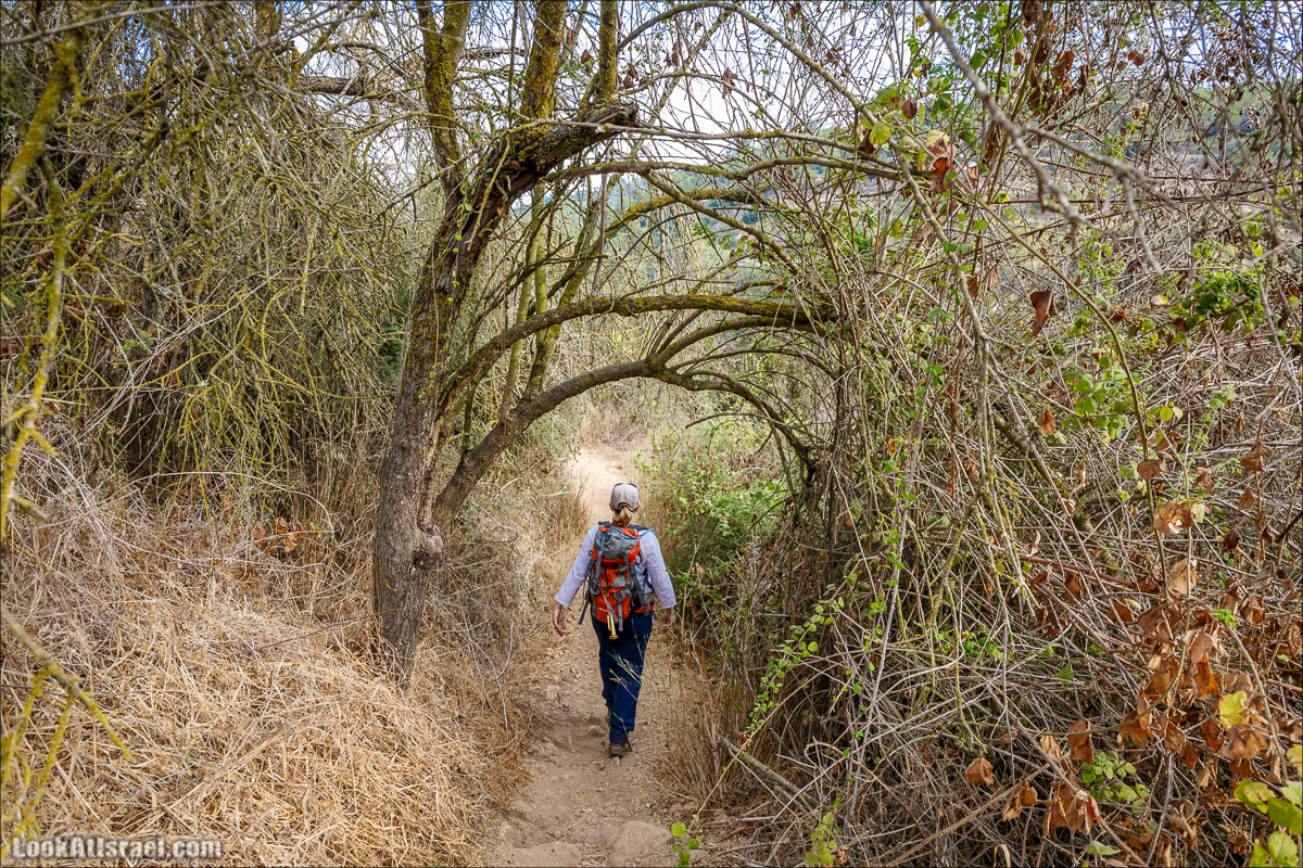 Нахаль Вади Катлав, Дир а-Шейх, Бар Гиора и Хирбет Тура | LookAtIsrael.com - Фото путешествия по Израилю