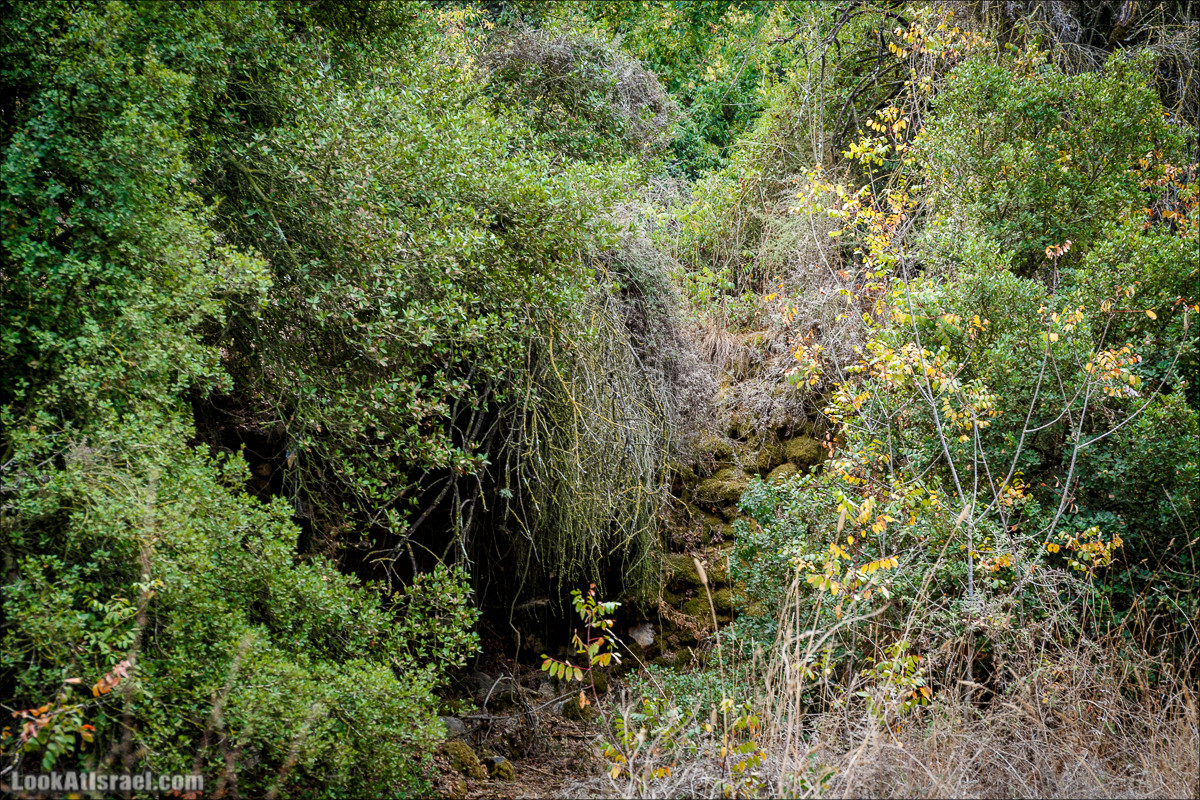 Нахаль Вади Катлав, Дир а-Шейх, Бар Гиора и Хирбет Тура | LookAtIsrael.com - Фото путешествия по Израилю