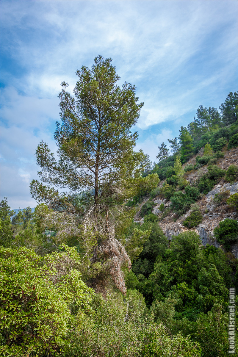 Нахаль Вади Катлав, Дир а-Шейх, Бар Гиора и Хирбет Тура | LookAtIsrael.com - Фото путешествия по Израилю