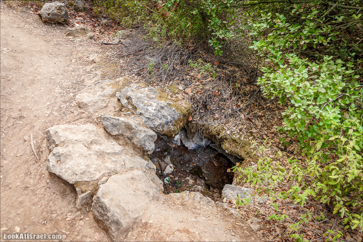 Нахаль Вади Катлав, Дир а-Шейх, Бар Гиора и Хирбет Тура | LookAtIsrael.com - Фото путешествия по Израилю