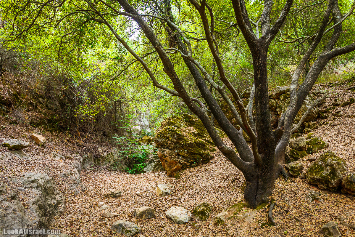 Нахаль Вади Катлав, Дир а-Шейх, Бар Гиора и Хирбет Тура | LookAtIsrael.com - Фото путешествия по Израилю