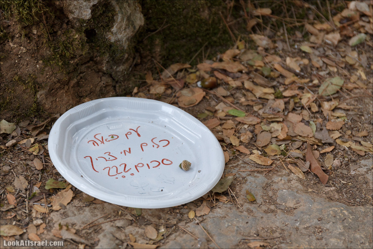 Нахаль Вади Катлав, Дир а-Шейх, Бар Гиора и Хирбет Тура | LookAtIsrael.com - Фото путешествия по Израилю