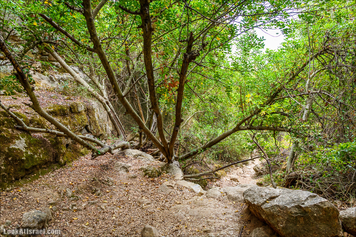 Нахаль Вади Катлав, Дир а-Шейх, Бар Гиора и Хирбет Тура | LookAtIsrael.com - Фото путешествия по Израилю