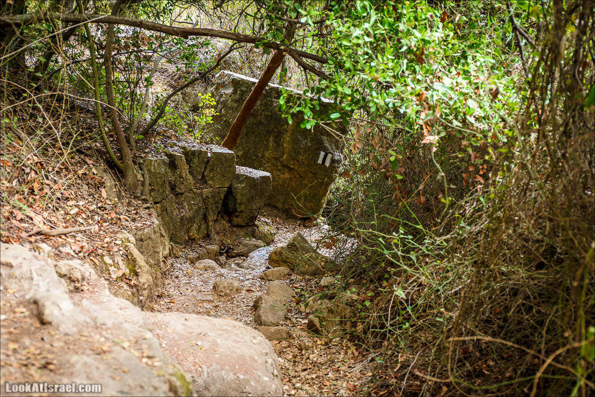 Нахаль Вади Катлав, Дир а-Шейх, Бар Гиора и Хирбет Тура | LookAtIsrael.com - Фото путешествия по Израилю