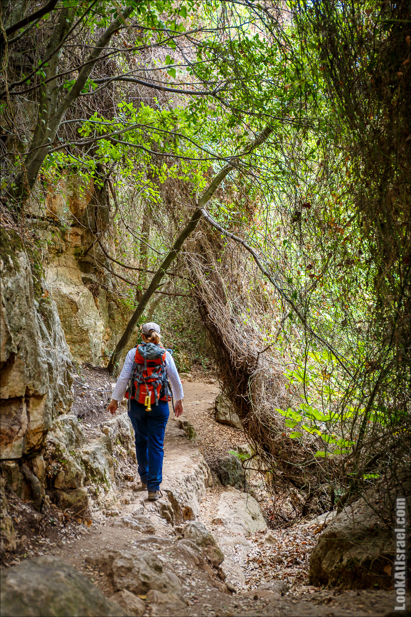 Нахаль Вади Катлав, Дир а-Шейх, Бар Гиора и Хирбет Тура | LookAtIsrael.com - Фото путешествия по Израилю