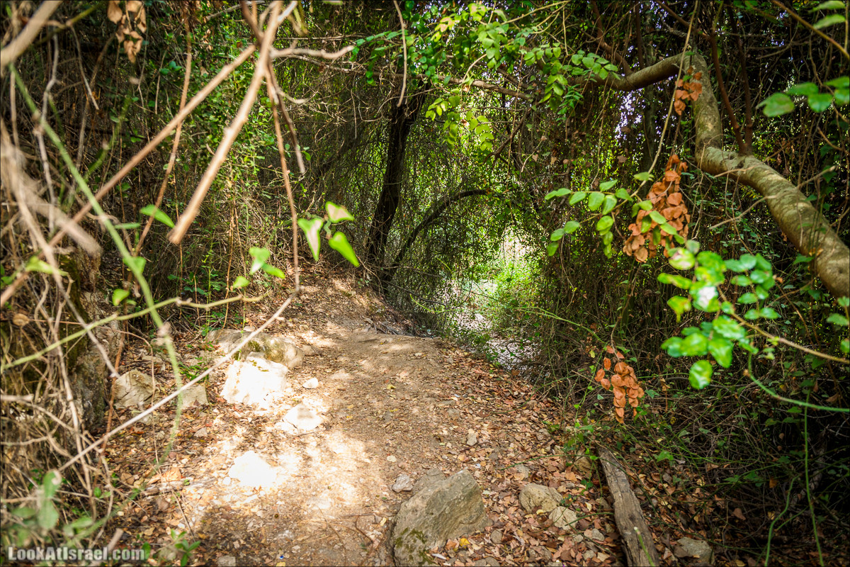 Нахаль Вади Катлав, Дир а-Шейх, Бар Гиора и Хирбет Тура | LookAtIsrael.com - Фото путешествия по Израилю