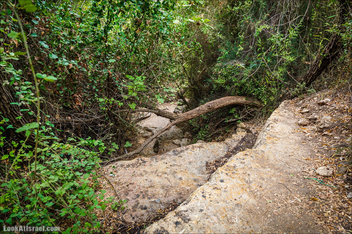 Нахаль Вади Катлав, Дир а-Шейх, Бар Гиора и Хирбет Тура | LookAtIsrael.com - Фото путешествия по Израилю