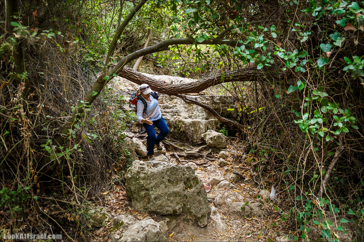 Нахаль Вади Катлав, Дир а-Шейх, Бар Гиора и Хирбет Тура | LookAtIsrael.com - Фото путешествия по Израилю