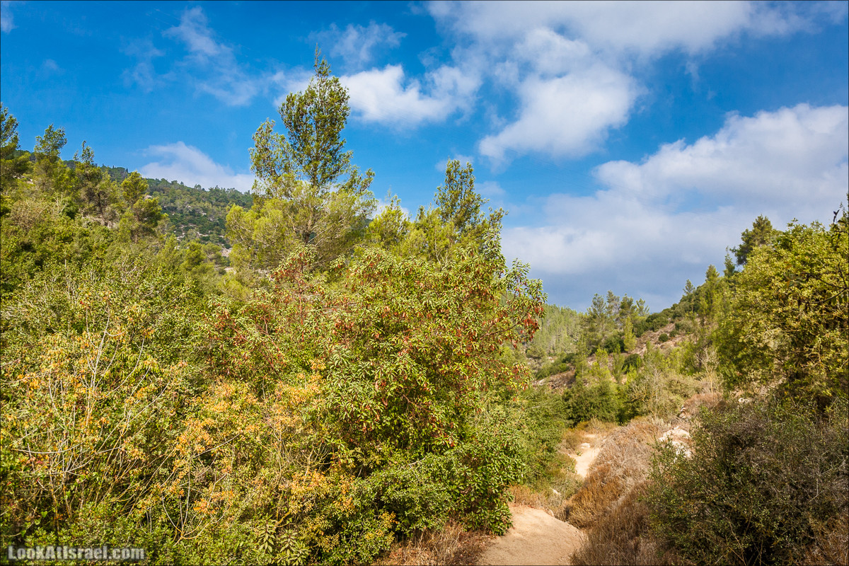 Нахаль Вади Катлав, Дир а-Шейх, Бар Гиора и Хирбет Тура | LookAtIsrael.com - Фото путешествия по Израилю