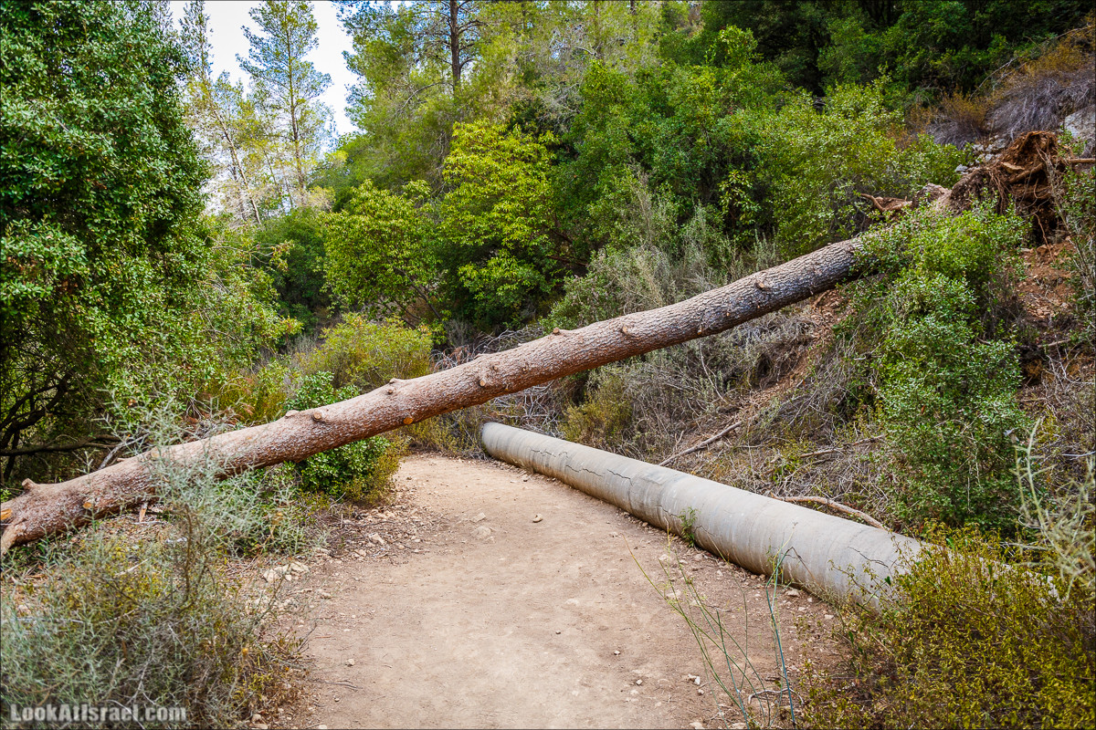 Нахаль Вади Катлав, Дир а-Шейх, Бар Гиора и Хирбет Тура | LookAtIsrael.com - Фото путешествия по Израилю