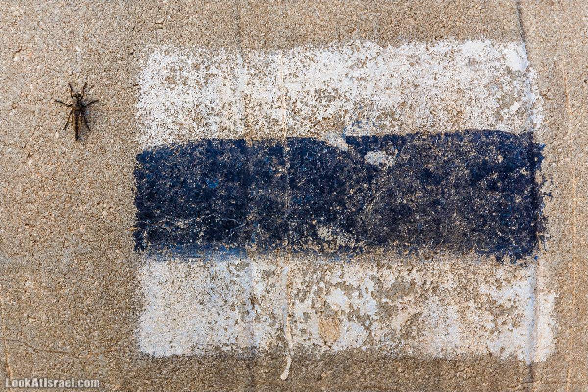 Нахаль Вади Катлав, Дир а-Шейх, Бар Гиора и Хирбет Тура | LookAtIsrael.com - Фото путешествия по Израилю