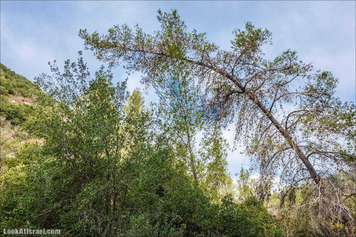 Нахаль Вади Катлав, Дир а-Шейх, Бар Гиора и Хирбет Тура | LookAtIsrael.com - Фото путешествия по Израилю