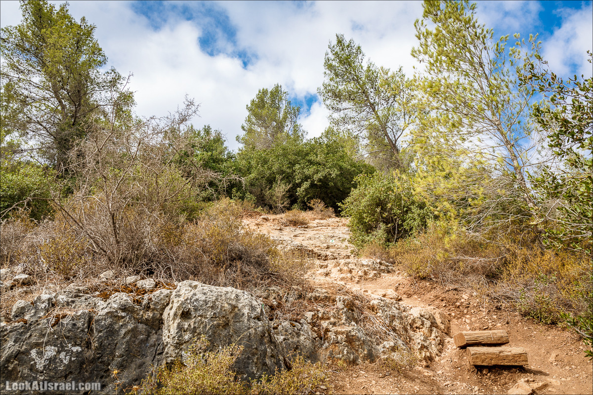 Нахаль Вади Катлав, Дир а-Шейх, Бар Гиора и Хирбет Тура | LookAtIsrael.com - Фото путешествия по Израилю