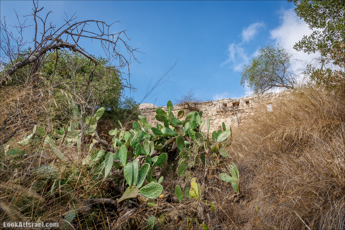 Нахаль Вади Катлав, Дир а-Шейх, Бар Гиора и Хирбет Тура | LookAtIsrael.com - Фото путешествия по Израилю