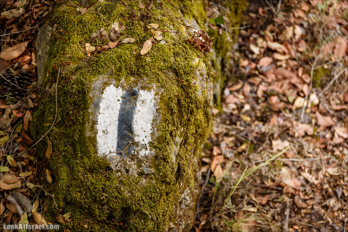 Нахаль Вади Катлав, Дир а-Шейх, Бар Гиора и Хирбет Тура | LookAtIsrael.com - Фото путешествия по Израилю