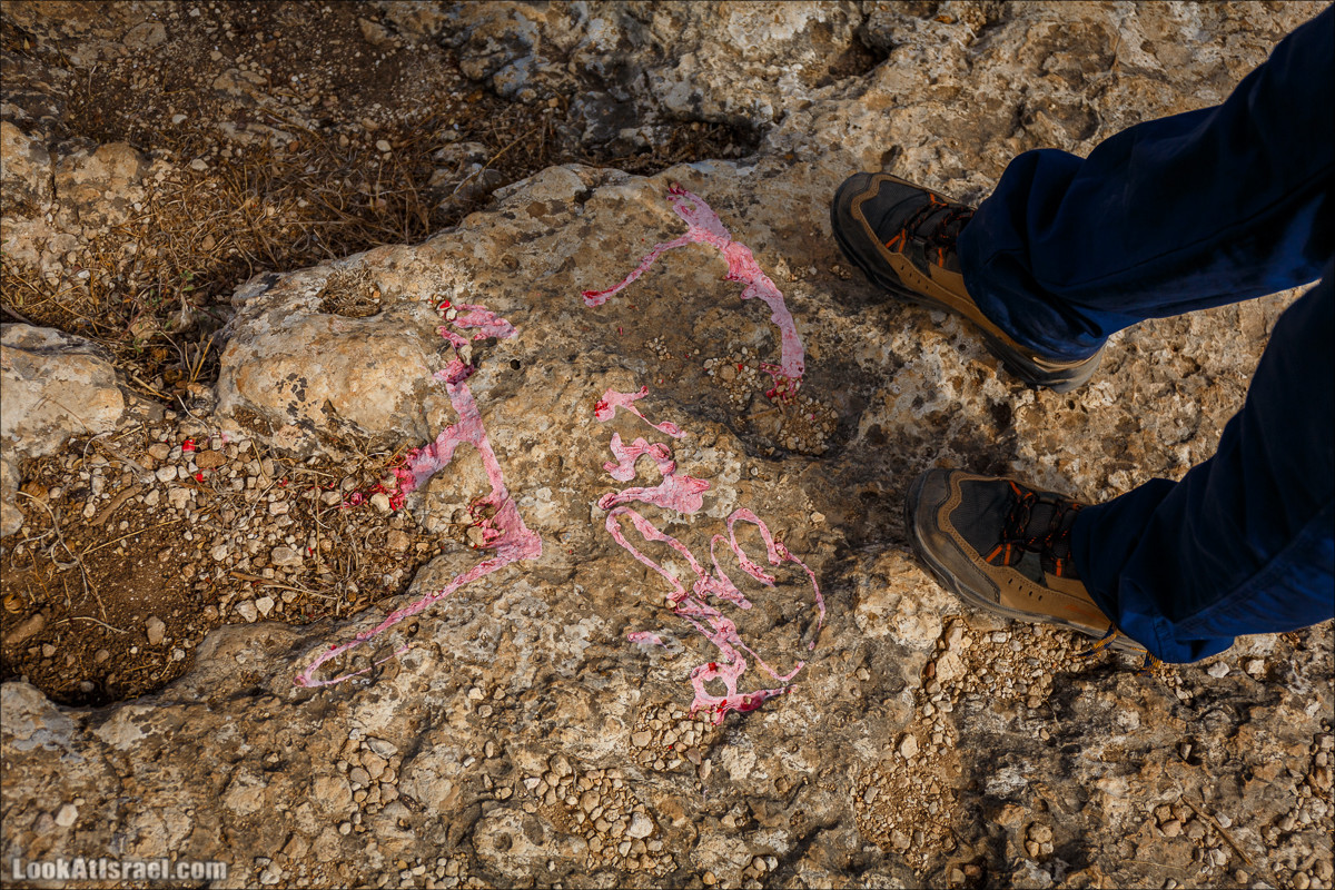 Нахаль Вади Катлав, Дир а-Шейх, Бар Гиора и Хирбет Тура | LookAtIsrael.com - Фото путешествия по Израилю