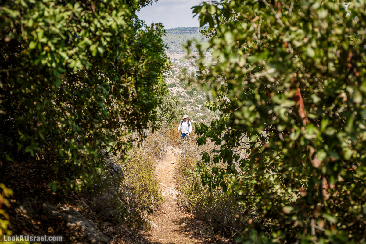 Нахаль Вади Катлав, Дир а-Шейх, Бар Гиора и Хирбет Тура | LookAtIsrael.com - Фото путешествия по Израилю