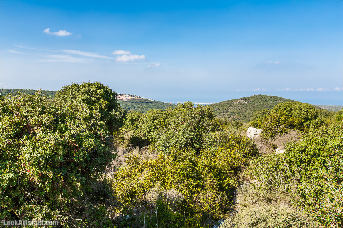 Классика Западной Галилеи - Нахаль Гаатон, гора Адир и крепость Монфор | LookAtIsrael.com - Фото путешествия по Израилю