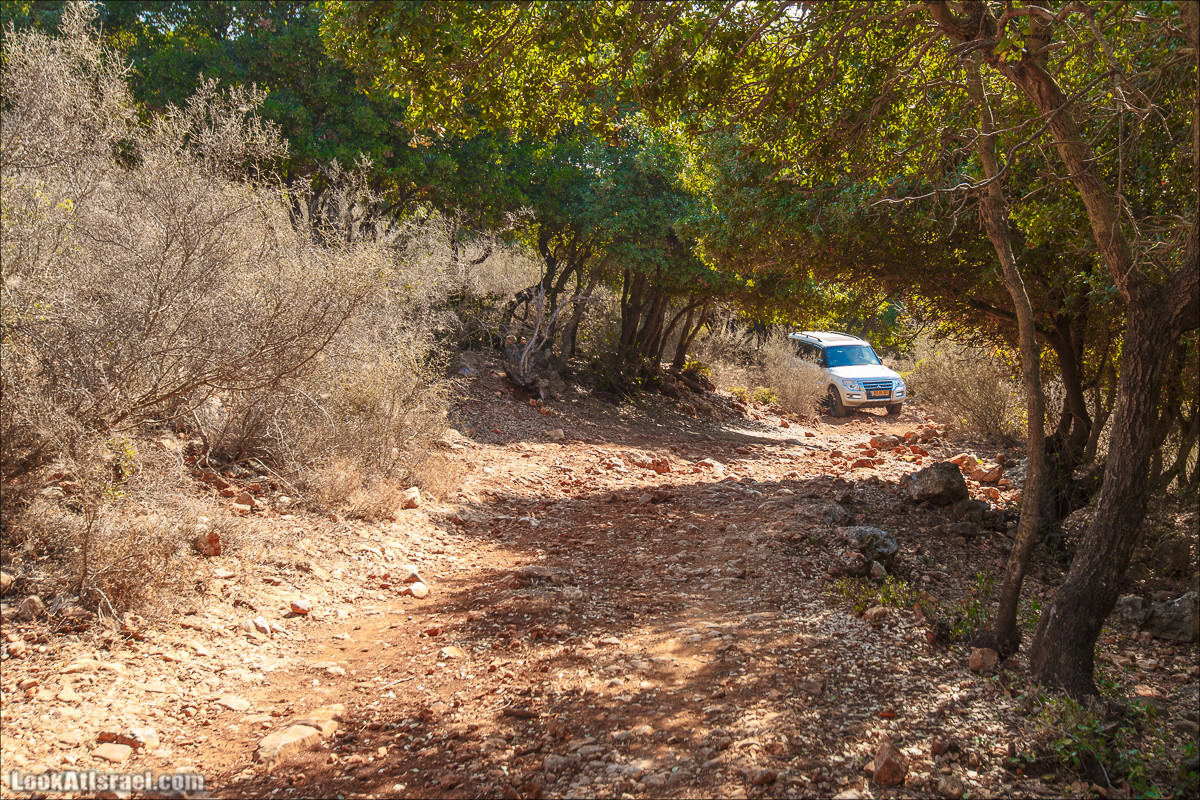 Классика Западной Галилеи - Нахаль Гаатон, гора Адир и крепость Монфор | LookAtIsrael.com - Фото путешествия по Израилю