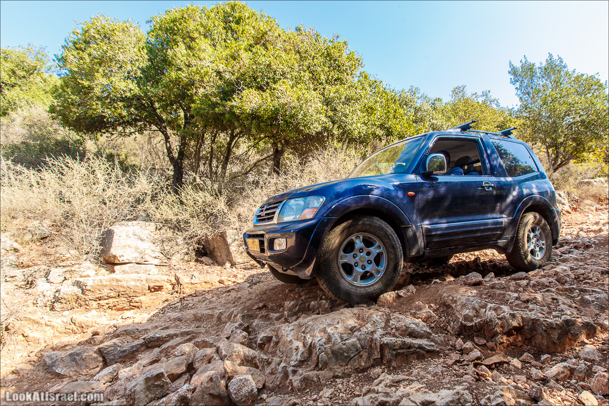 Классика Западной Галилеи - Нахаль Гаатон, гора Адир и крепость Монфор | LookAtIsrael.com - Фото путешествия по Израилю