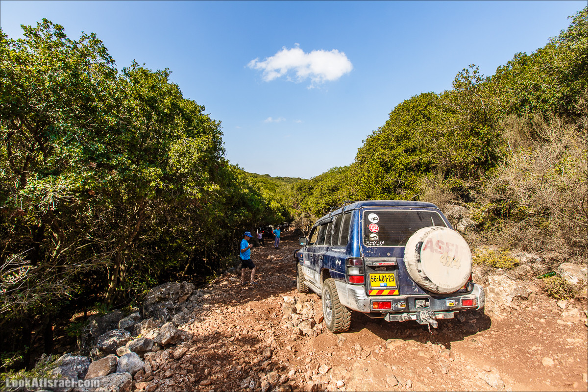 Классика Западной Галилеи - Нахаль Гаатон, гора Адир и крепость Монфор | LookAtIsrael.com - Фото путешествия по Израилю