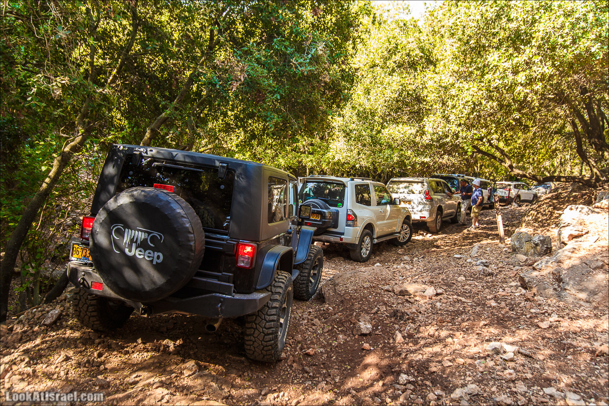 Классика Западной Галилеи - Нахаль Гаатон, гора Адир и крепость Монфор | LookAtIsrael.com - Фото путешествия по Израилю