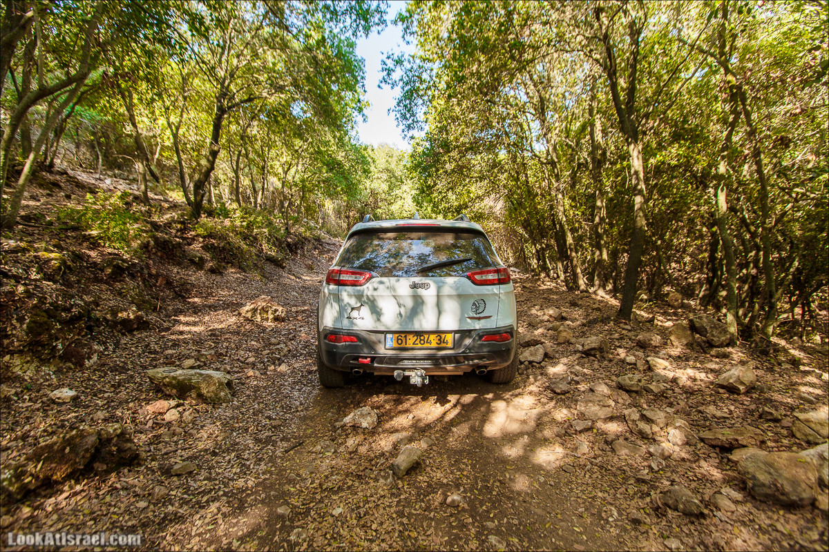 Классика Западной Галилеи - Нахаль Гаатон, гора Адир и крепость Монфор | LookAtIsrael.com - Фото путешествия по Израилю