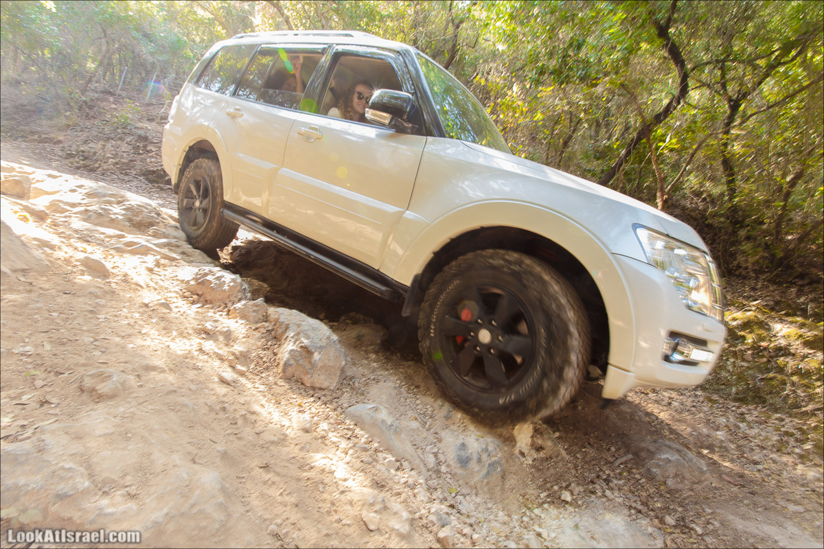 Классика Западной Галилеи - Нахаль Гаатон, гора Адир и крепость Монфор | LookAtIsrael.com - Фото путешествия по Израилю