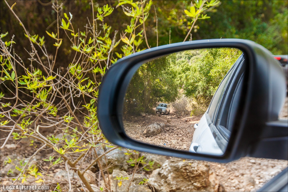 Классика Западной Галилеи - Нахаль Гаатон, гора Адир и крепость Монфор | LookAtIsrael.com - Фото путешествия по Израилю