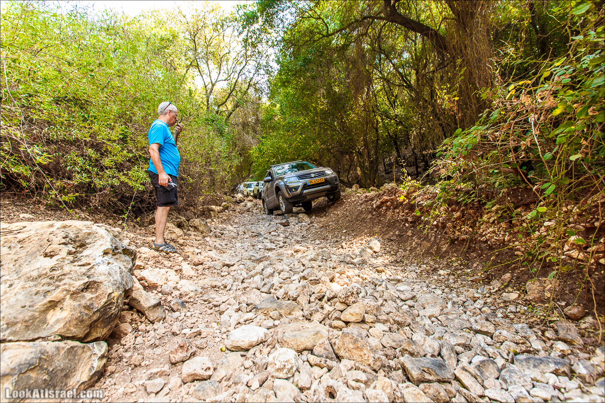 Классика Западной Галилеи - Нахаль Гаатон, гора Адир и крепость Монфор | LookAtIsrael.com - Фото путешествия по Израилю