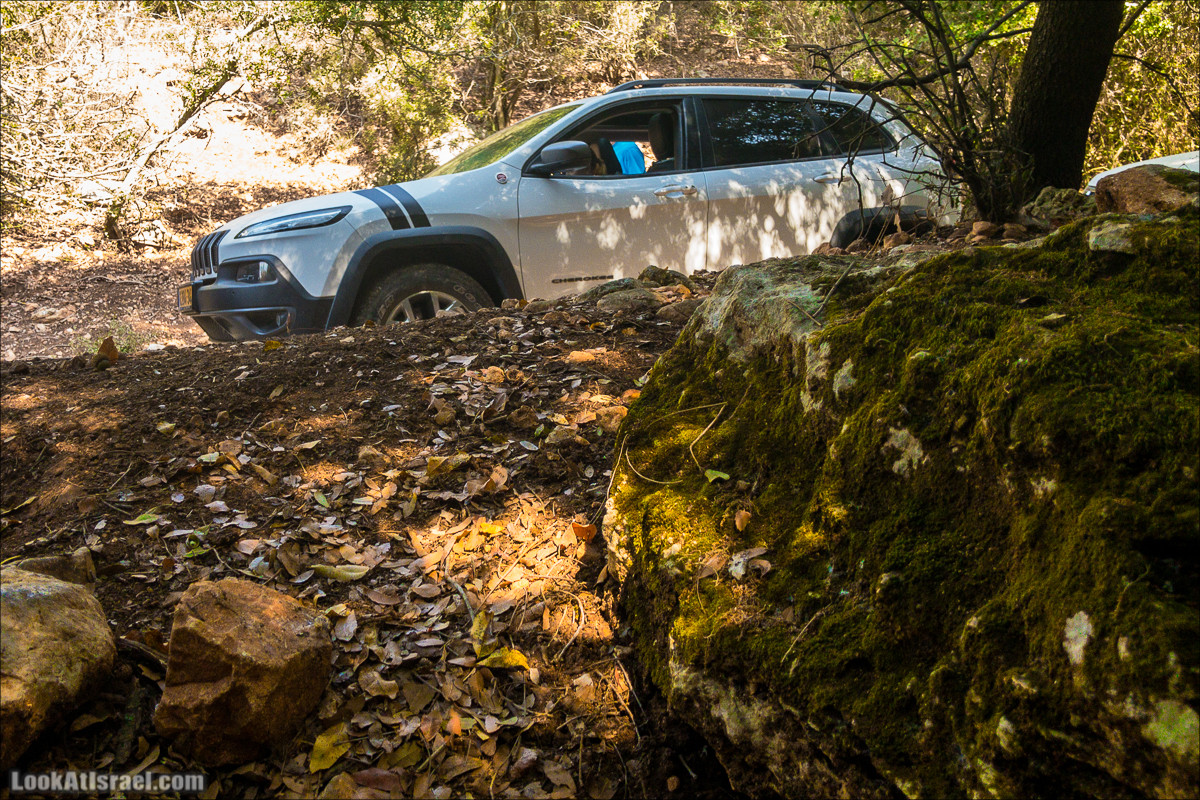 Классика Западной Галилеи - Нахаль Гаатон, гора Адир и крепость Монфор | LookAtIsrael.com - Фото путешествия по Израилю