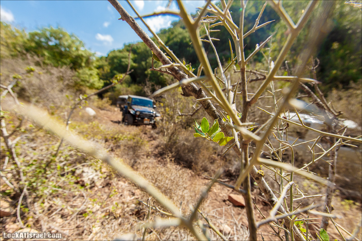 Классика Западной Галилеи - Нахаль Гаатон, гора Адир и крепость Монфор | LookAtIsrael.com - Фото путешествия по Израилю