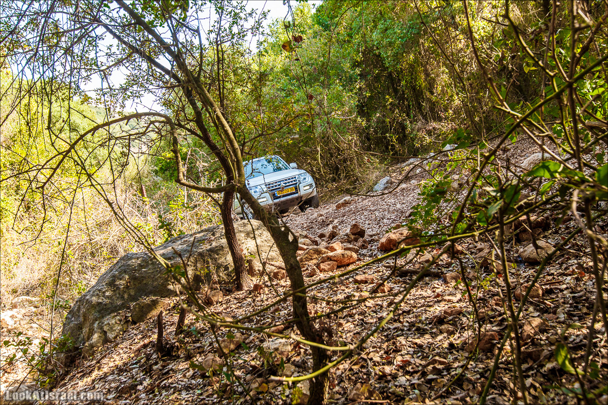 Классика Западной Галилеи - Нахаль Гаатон, гора Адир и крепость Монфор | LookAtIsrael.com - Фото путешествия по Израилю