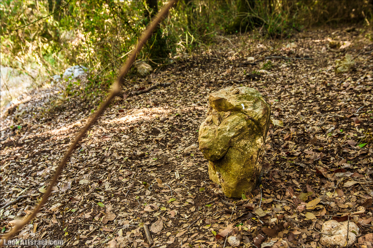 Классика Западной Галилеи - Нахаль Гаатон, гора Адир и крепость Монфор | LookAtIsrael.com - Фото путешествия по Израилю