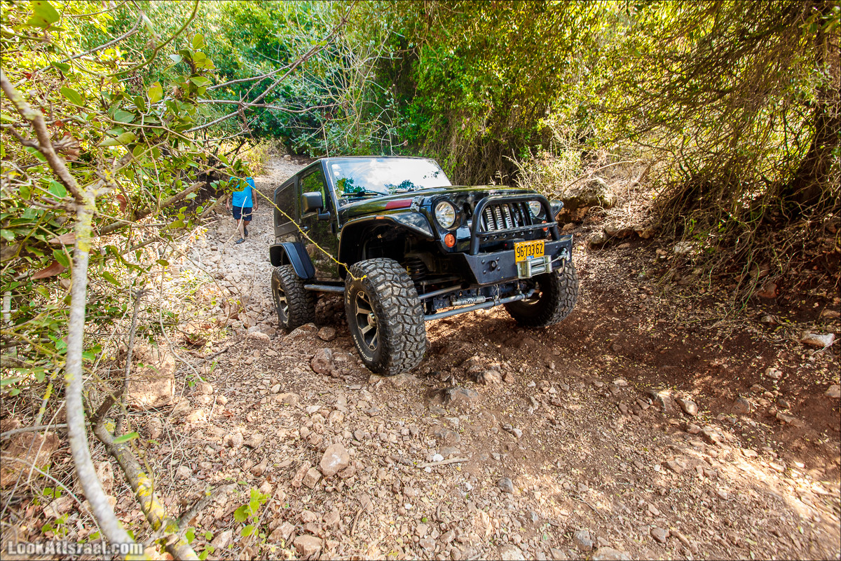 Классика Западной Галилеи - Нахаль Гаатон, гора Адир и крепость Монфор | LookAtIsrael.com - Фото путешествия по Израилю