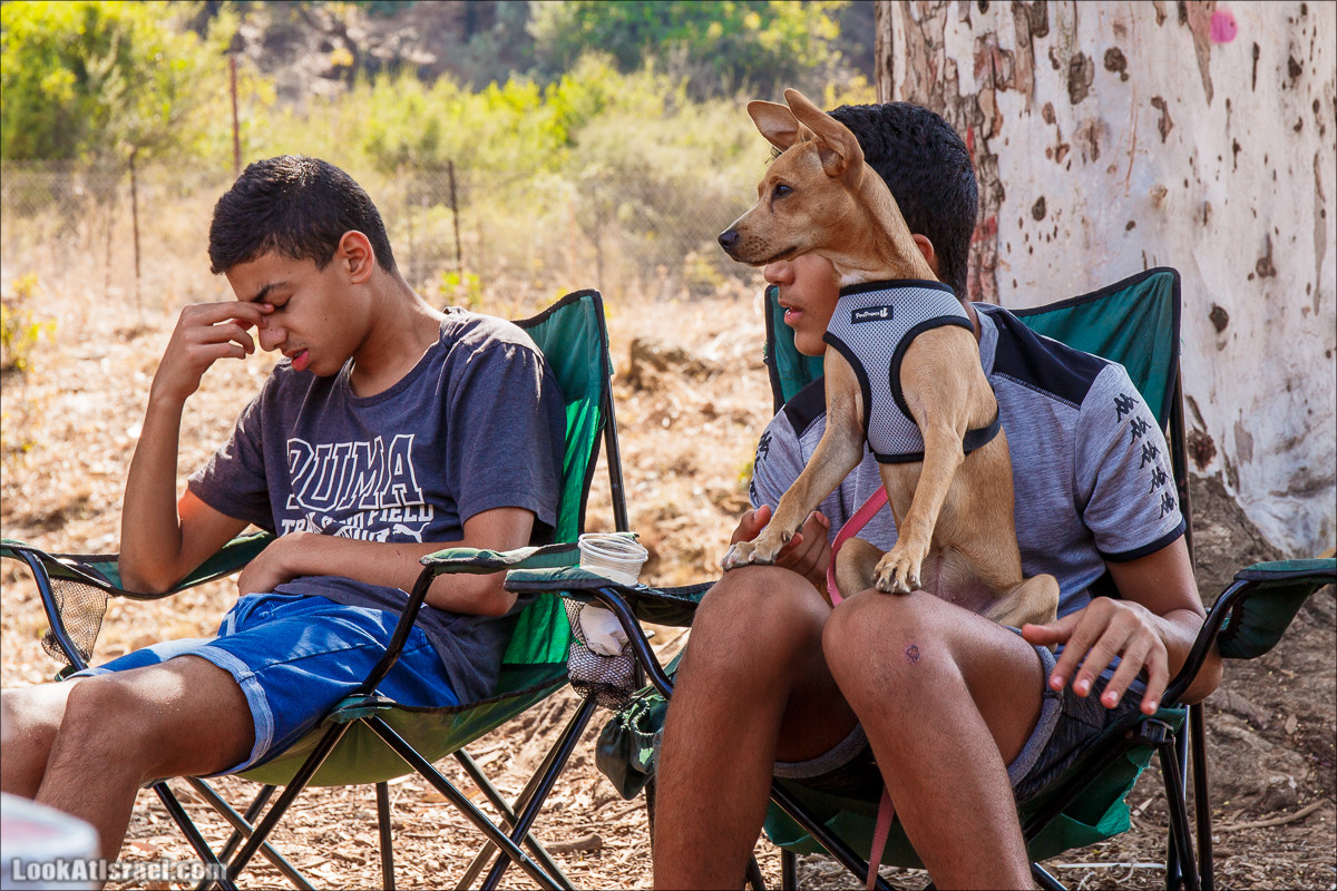 Классика Западной Галилеи - Нахаль Гаатон, гора Адир и крепость Монфор | LookAtIsrael.com - Фото путешествия по Израилю