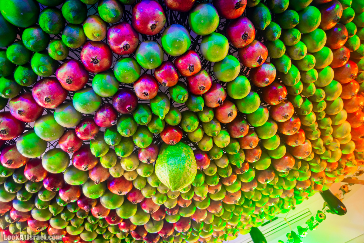 Суккот у самаритян в городе Холон | Samaritans sukkot in Holon | סוכות שומרוני בחולון |LookAtIsrael.com - Фото путешествия по Израилю