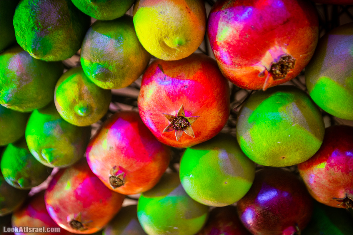 Суккот у самаритян в городе Холон | Samaritans sukkot in Holon | סוכות שומרוני בחולון |LookAtIsrael.com - Фото путешествия по Израилю