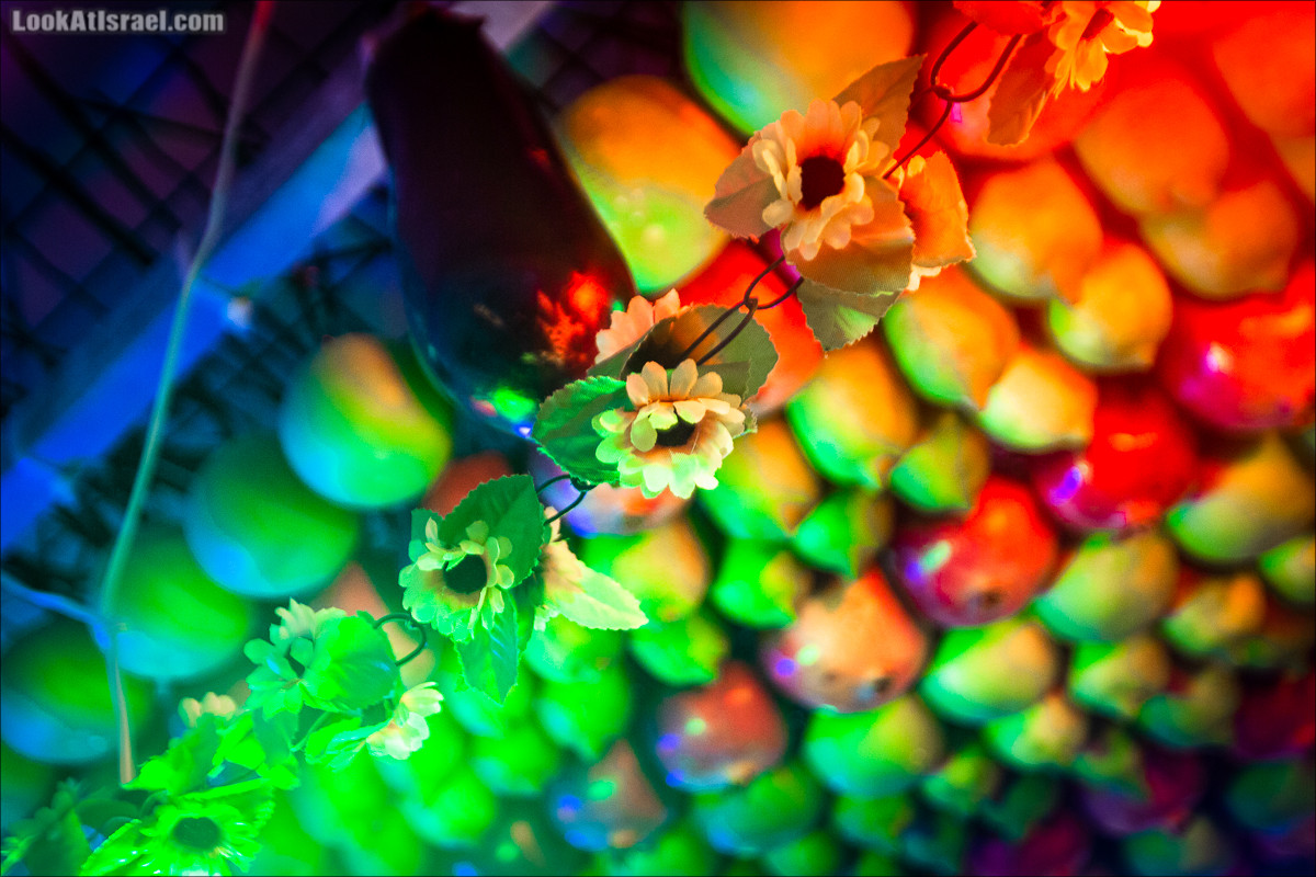 Суккот у самаритян в городе Холон | Samaritans sukkot in Holon | סוכות שומרוני בחולון |LookAtIsrael.com - Фото путешествия по Израилю