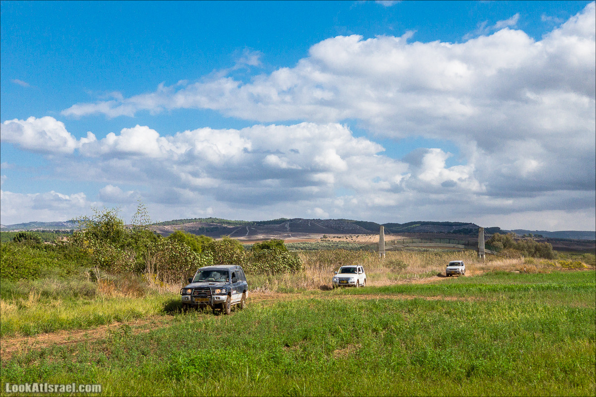 Бежит Самсон к любимой в Тимну, разрывает пасти по пути
