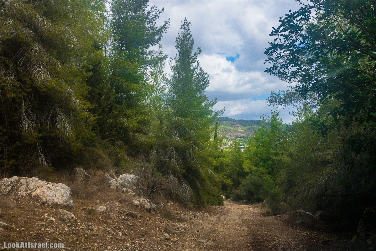 Внедорожная вылазка по округу Шфела | LookAtIsrael.com - Фото путешествия по Израилю