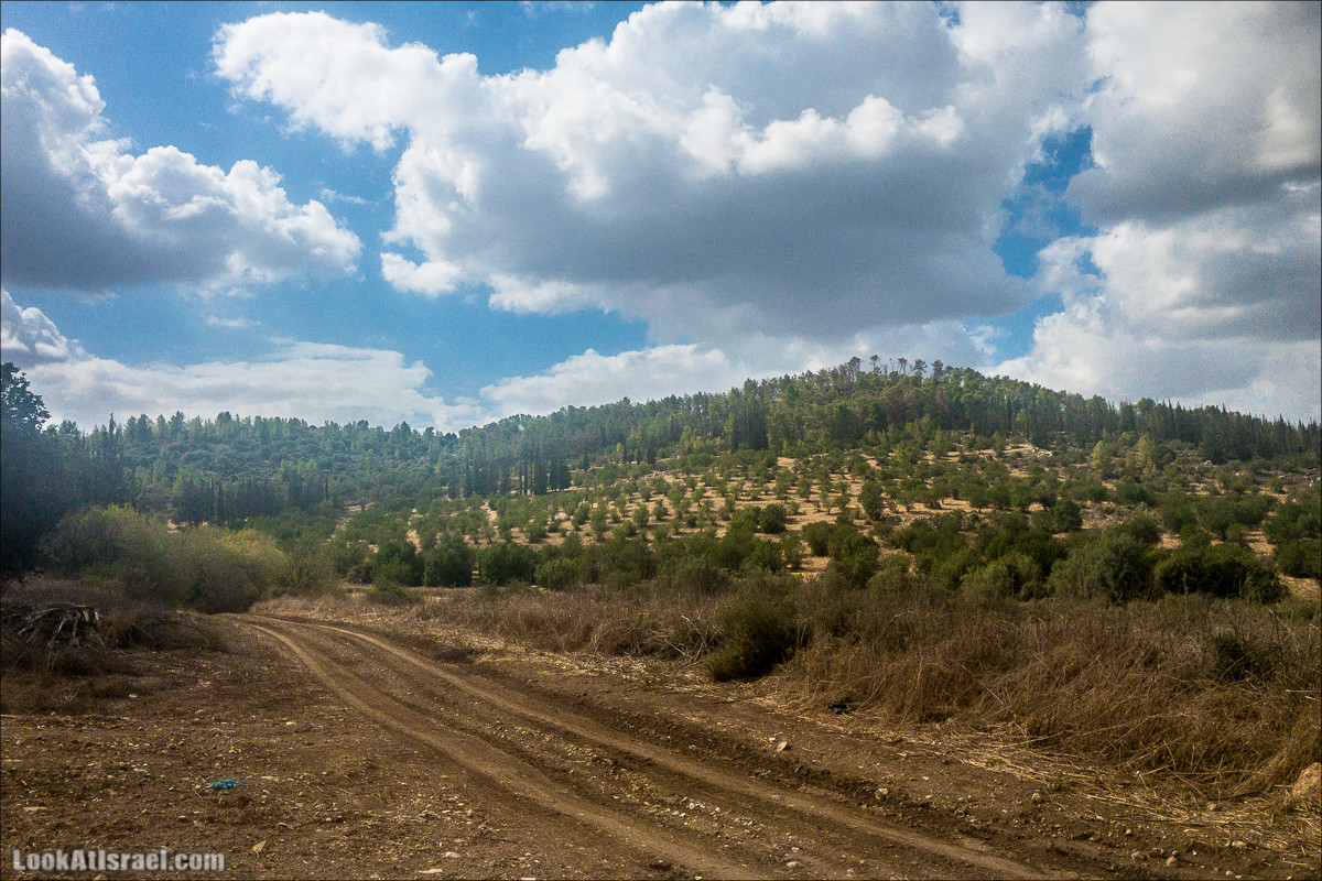 Внедорожная вылазка по округу Шфела | LookAtIsrael.com - Фото путешествия по Израилю