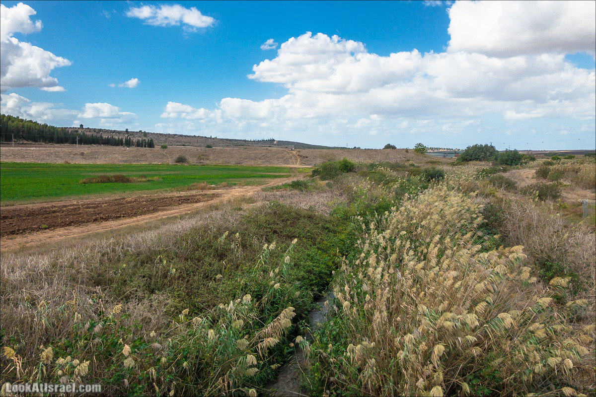 Внедорожная вылазка по округу Шфела | LookAtIsrael.com - Фото путешествия по Израилю
