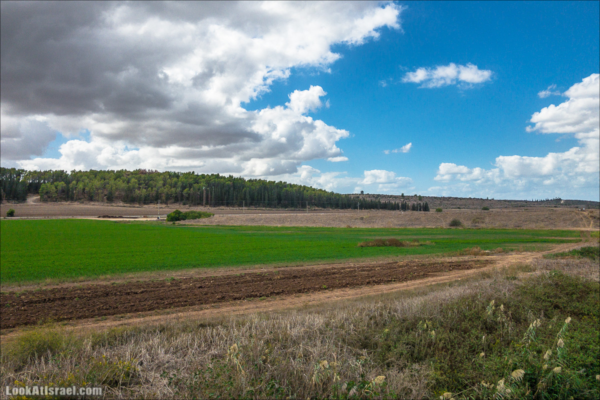 Внедорожная вылазка по округу Шфела | LookAtIsrael.com - Фото путешествия по Израилю