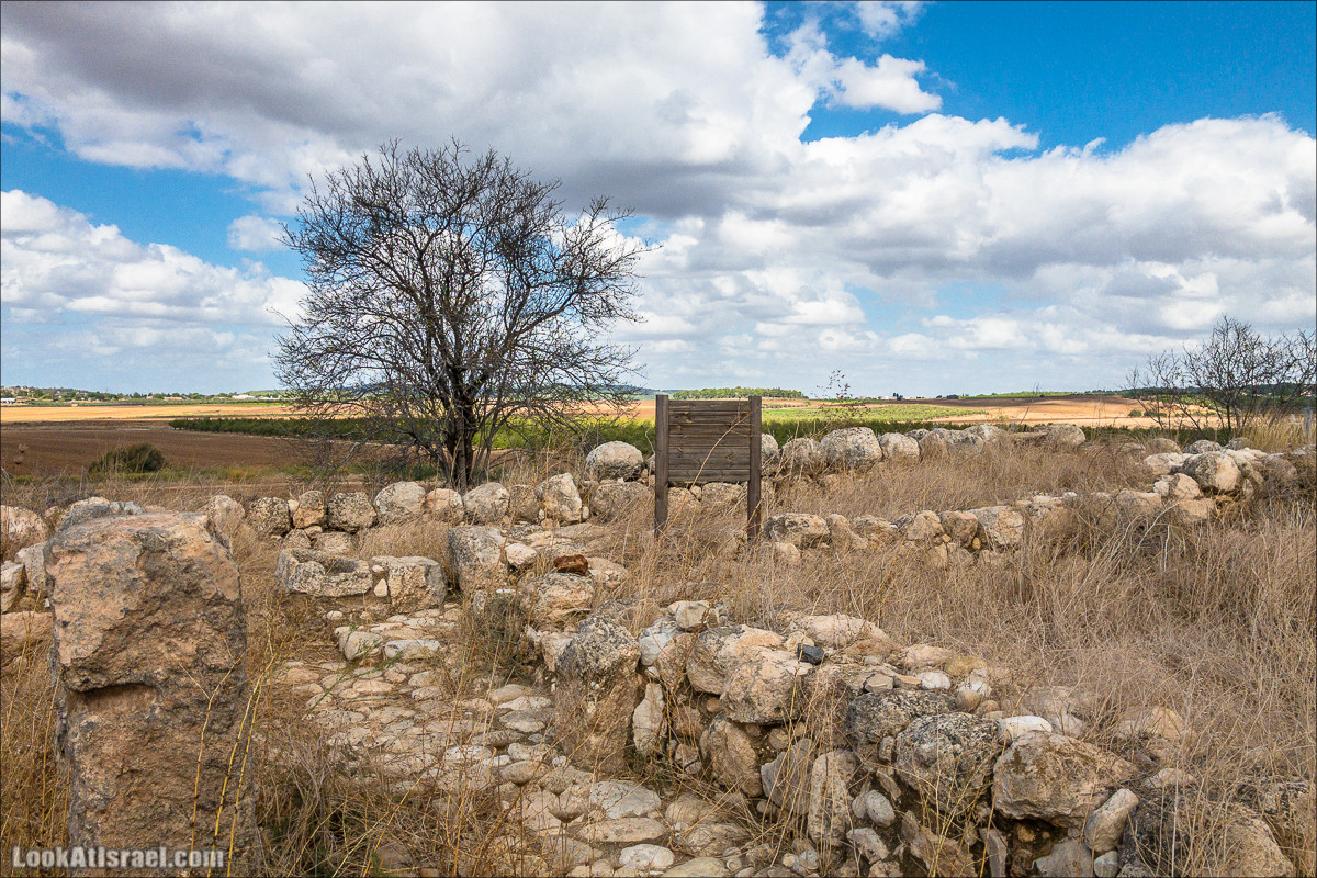 Внедорожная вылазка по округу Шфела | LookAtIsrael.com - Фото путешествия по Израилю