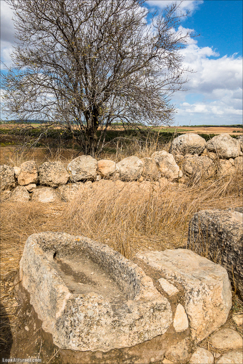 Внедорожная вылазка по округу Шфела | LookAtIsrael.com - Фото путешествия по Израилю
