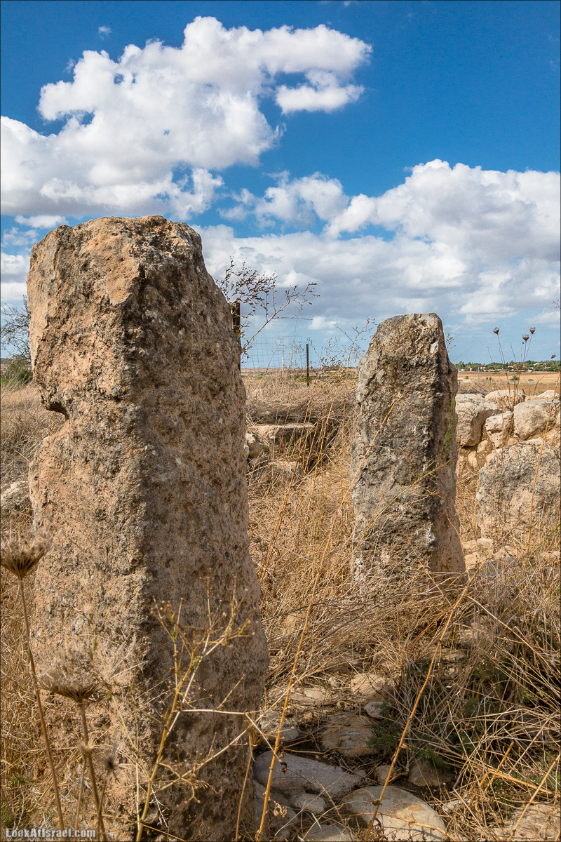 Внедорожная вылазка по округу Шфела | LookAtIsrael.com - Фото путешествия по Израилю