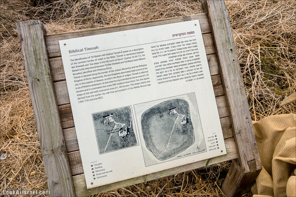 Внедорожная вылазка по округу Шфела | LookAtIsrael.com - Фото путешествия по Израилю