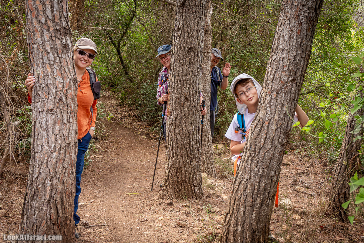 Пещера древнего человека в заповедника Нахаль Меарот и красивый маршрут по горе Кармель | LookAtIsrael.com - Фото путешествия по Израилю