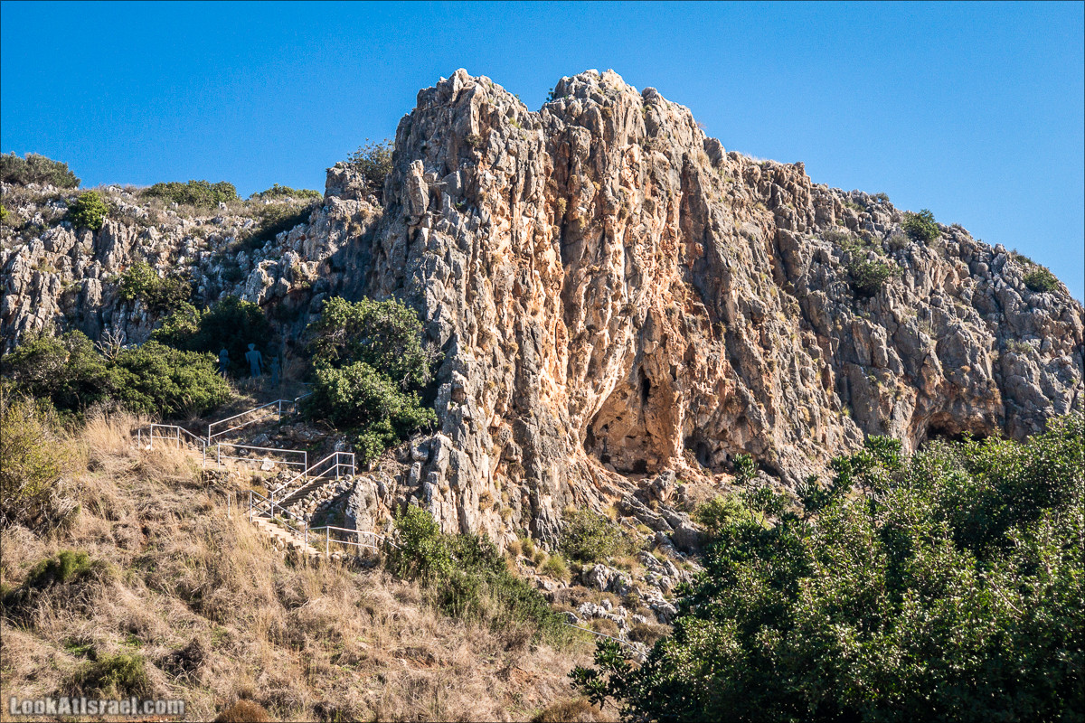 Пещера древнего человека в заповедника Нахаль Меарот и красивый маршрут по горе Кармель | LookAtIsrael.com - Фото путешествия по Израилю